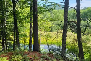21 Andrews Rd, Woodstock, ME 04219 - Photo 47