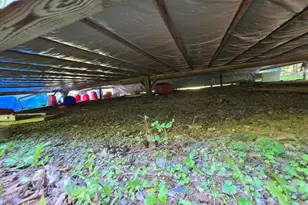 Lot 13 1 Route 6, Kossuth Twp, ME 04490 - Photo 39
