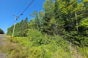 Lot 13 1 Route 6, Kossuth Twp, ME 04490 - Photo 29