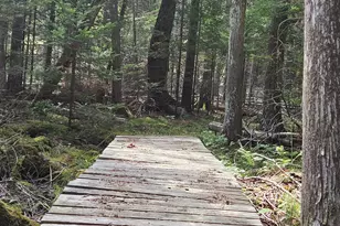 901 Mann Hill Rd, Holden, ME 04429 - Photo 45