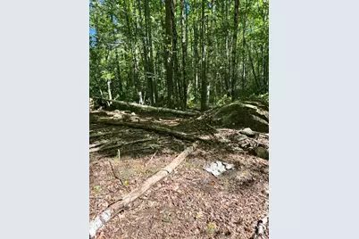 #56 S South Waterboro Road, Lyman, ME 04002 - Photo 3