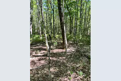#56 S South Waterboro Road, Lyman, ME 04002 - Photo 1