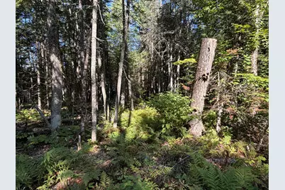 Map 9 Lot 6 Raspberry Lane, Ripley, ME 04930 - Photo 7
