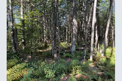 Map 9 Lot 6 Raspberry Lane, Ripley, ME 04930 - Photo 11