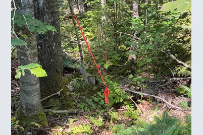Map 9 Lot 6 Raspberry Lane, Ripley, ME 04930 - Photo 9