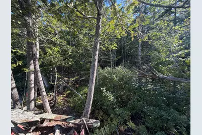 Map 9 Lot 6 Raspberry Lane, Ripley, ME 04930 - Photo 13