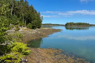 255 Coffins Neck Rd, Lubec, ME 04652 - Photo 9