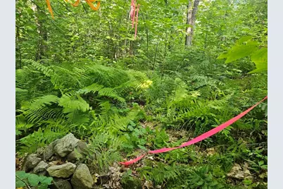 221 Sabattus Trail Road, Lovell, ME 04051 - Photo 29