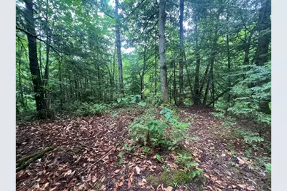 Lot 3 Off New Limerick Road, Linneus, ME 04730 - Photo 15