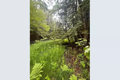 Lot 3 Off New Limerick Road, Linneus, ME 04730 - Photo 19