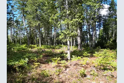 Lot 3 Off North Shore Road, Lake View Plantation, ME 04463 - Photo 7