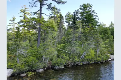 Lot 3 Off North Shore Road, Lake View Plantation, ME 04463 - Photo 9