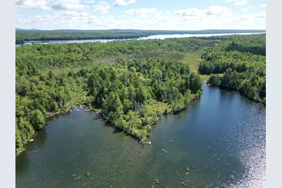 Lot 3 Off North Shore Road, Lake View Plantation, ME 04463 - Photo 13
