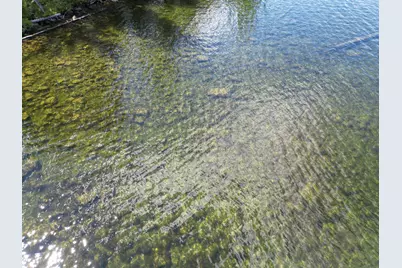 Lot 3 Off North Shore Road, Lake View Plantation, ME 04463 - Photo 21