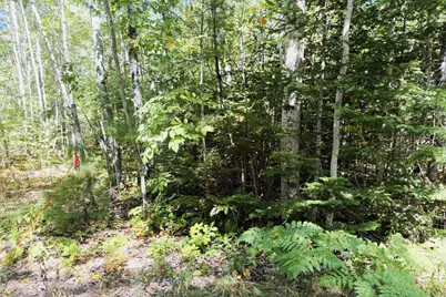 Lot 00500E West Hamlet Road, Newcastle, ME 04553 - Photo 1