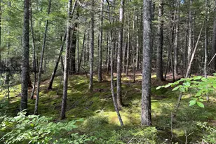 15 Upper Green Lake Rd, T35 Md, ME 04622 - Photo 23