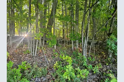 708 Webbs Mills Road, Raymond, ME 04071 - Photo 5
