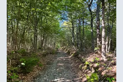 Lot 11 Baker Pond Road, Solon, ME 04979 - Photo 3