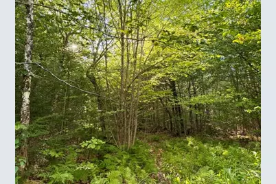 Lot 11 Baker Pond Road, Solon, ME 04979 - Photo 9