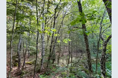 Lot 11 Baker Pond Road, Solon, ME 04979 - Photo 7