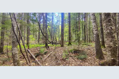 463 Clover Mill Road, Farmington, ME 04938 - Photo 23