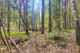 463 Clover Mill Rd, Farmington, ME 04938 - Photo 23