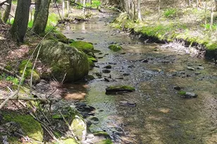 463 Clover Mill Rd, Farmington, ME 04938 - Photo 29