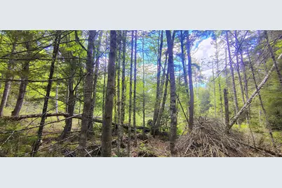 463 Clover Mill Road, Farmington, ME 04938 - Photo 25