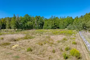 555 Falls Bridge Rd, Blue Hill, ME 04614 - Photo 87