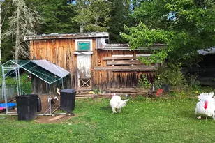 38 Craig Rd, Masardis, ME 04732 - Photo 37