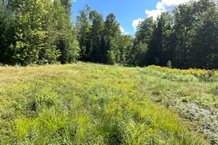 Lot#16M-2 Campbell Rd, Kingsbury Plt, ME 04660 - Photo 15