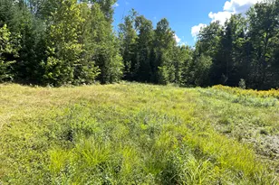 Lot#16M-2 Campbell Rd, Kingsbury Plt, ME 04660 - Photo 5