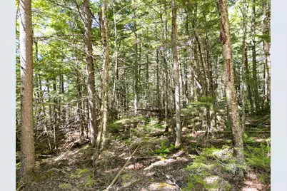 30 Merganser Lane, Lincoln, ME 04457 - Photo 17