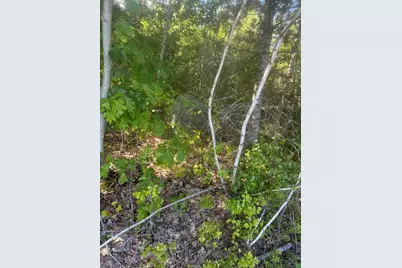 Lot 2 W Side Unionville Road, Steuben, ME 04680 - Photo 5