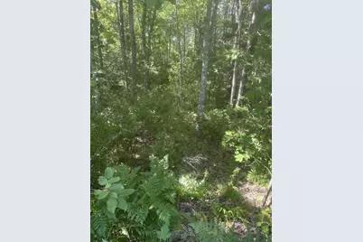 Lot 2 W Side Unionville Road, Steuben, ME 04680 - Photo 1