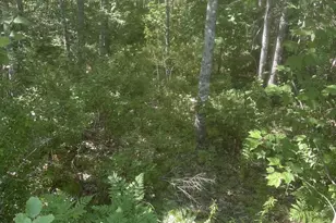 Lot 2 W Side Unionville Rd, Steuben, ME 04680 - Photo 1