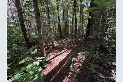36 South Road, Lee, ME 04455 - Photo 31