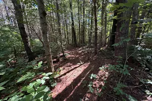 36 S Rd, Lee, ME 04455 - Photo 31
