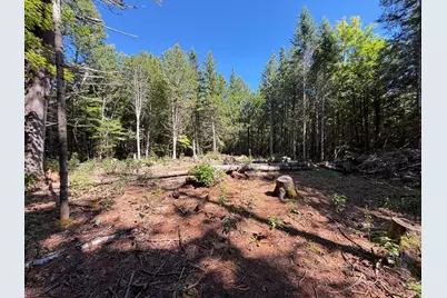 36 South Road, Lee, ME 04455 - Photo 21