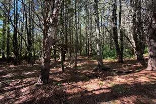 36 S Rd, Lee, ME 04455 - Photo 23