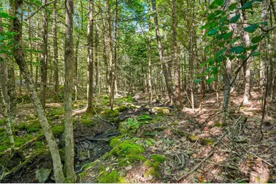 33 Anthoine Road, Windham, ME 04062 - Photo 47