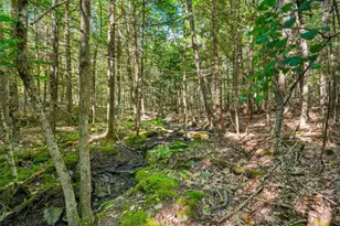33 Anthoine Rd, Windham, ME 04062 - Photo 47