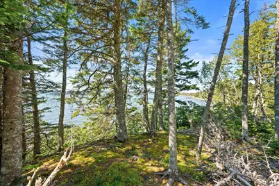 Lot 15 Ackley Road, Cutler, ME 04626 - Photo 17