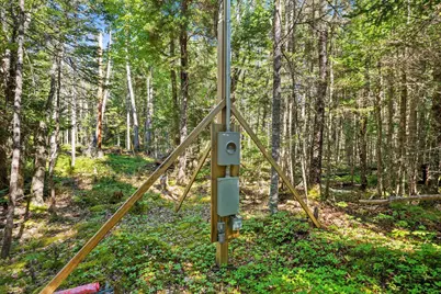 Lot 15 Ackley Road, Cutler, ME 04626 - Photo 19