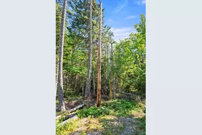 Lot 15 Ackley Road, Cutler, ME 04626 - Photo 21