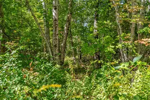 105 Main St, Dexter, ME 04930 - Photo 65