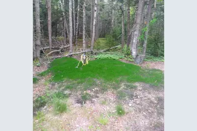 1154 Windward Way, Addison, ME 04606 - Photo 7
