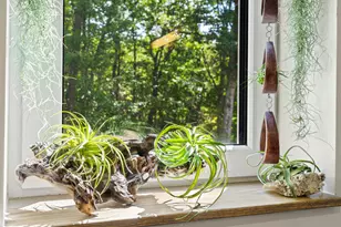 431 Sennett Rd, Jefferson, ME 04348 - Photo 73