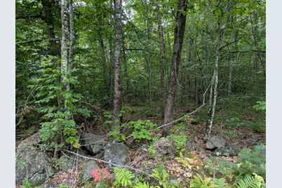 135 Old Country Way, Limerick, ME 04048 - Photo 3