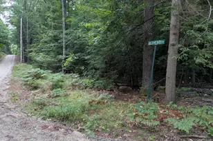 Lot 27 28 Sherry Dr, Limerick, ME 04048 - Photo 1